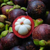 Mangosteen Benefits To Body Health