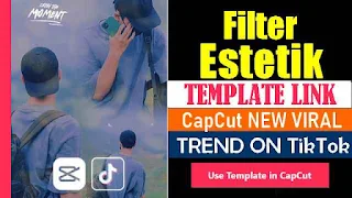 Filter Estetik CapCut Template Link 2023