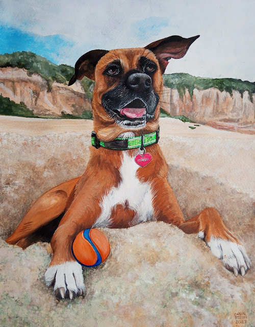 Pet portrait by Carin Steen