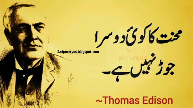 Thomas-Edison-failure-Quotes