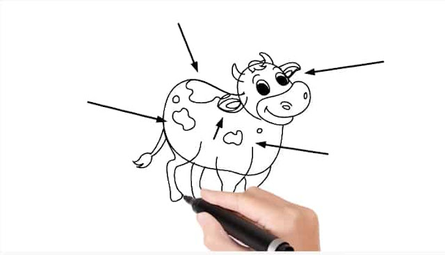 How to Draw a Cow Drawing.