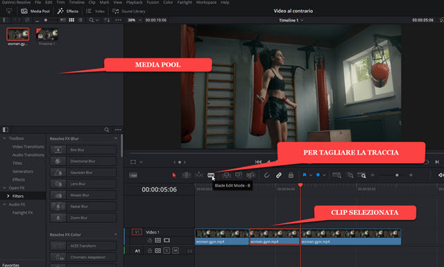 delimitare clip su davinci resolve