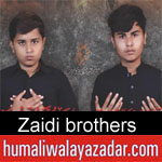 https://www.humaliwalyazadar.com/2018/10/zaidi-brothers-nohay-2019.html