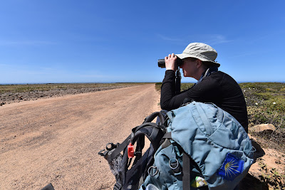 Come Walk With Us birding Algarve Portugal.