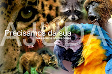 Minha foto