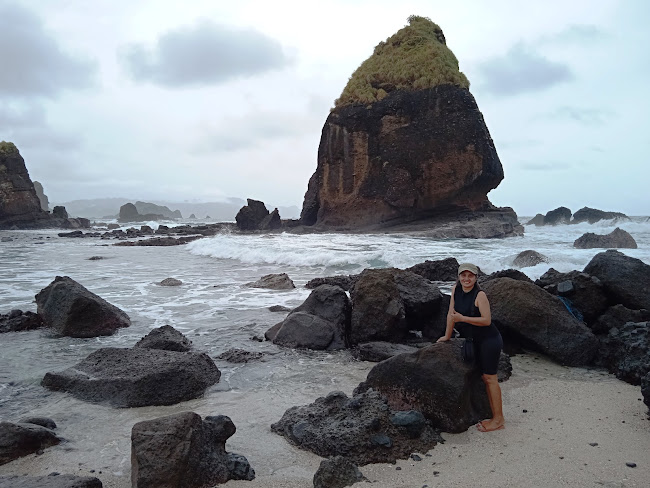 Pasir Putih Malikan Jember