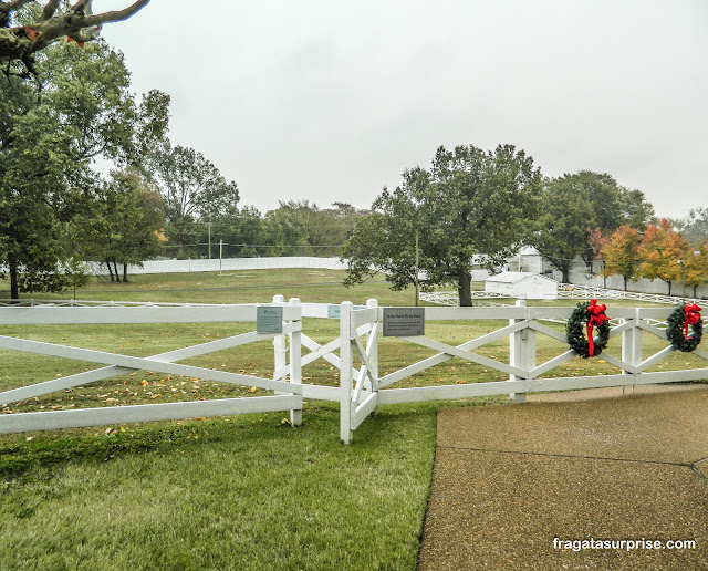 Haras de Elvis Presley em Graceland