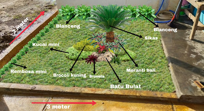 Desain Taman 3 Dimensi