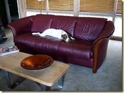 Zoe likes the Ekornes sofa