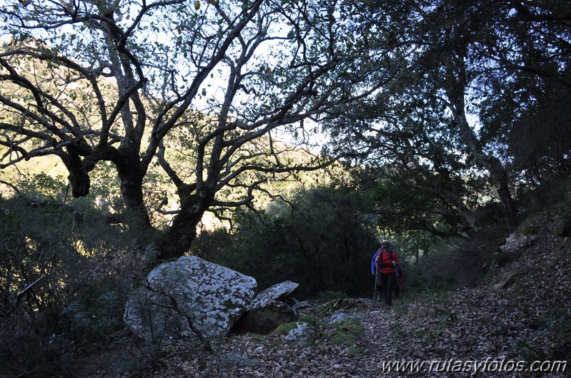 Laja Alta - Garganta de Gamero