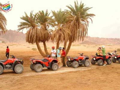 Safari in Sharm El Sheikh