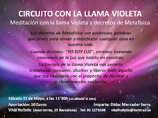 Circuito Llama Violeta