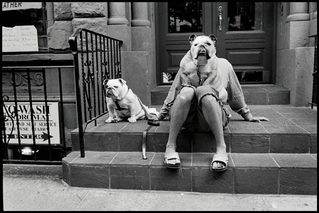 Эллиотт Эрвитт | Elliott Erwitt