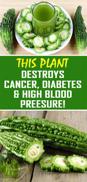 The Plant That Kills Cancer Cells, Stop Diabetes And Lower High Blood Pressure!