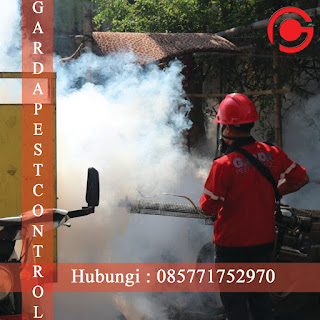 Telp : 085771752970 Jasa Fogging Nyamuk Murah di Rawalumbu