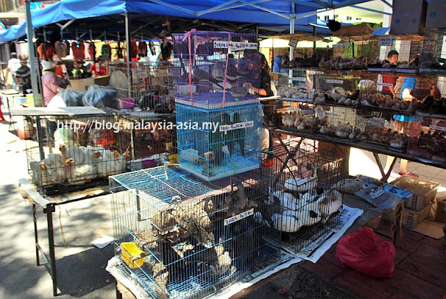 Animals at Gaya Sunday Markets