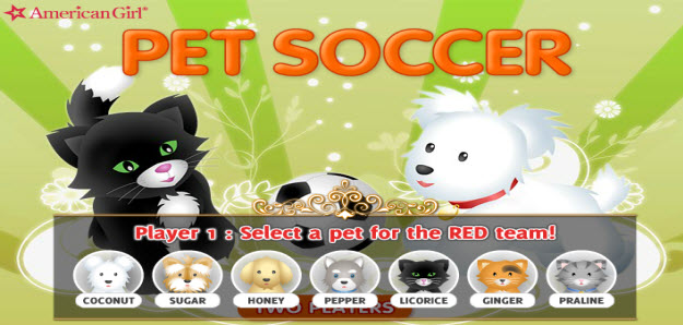 pet soccer .swf flash game, funny flash game