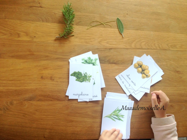 || Activité autour des cartes de nomenclature : Les herbes aromatiques