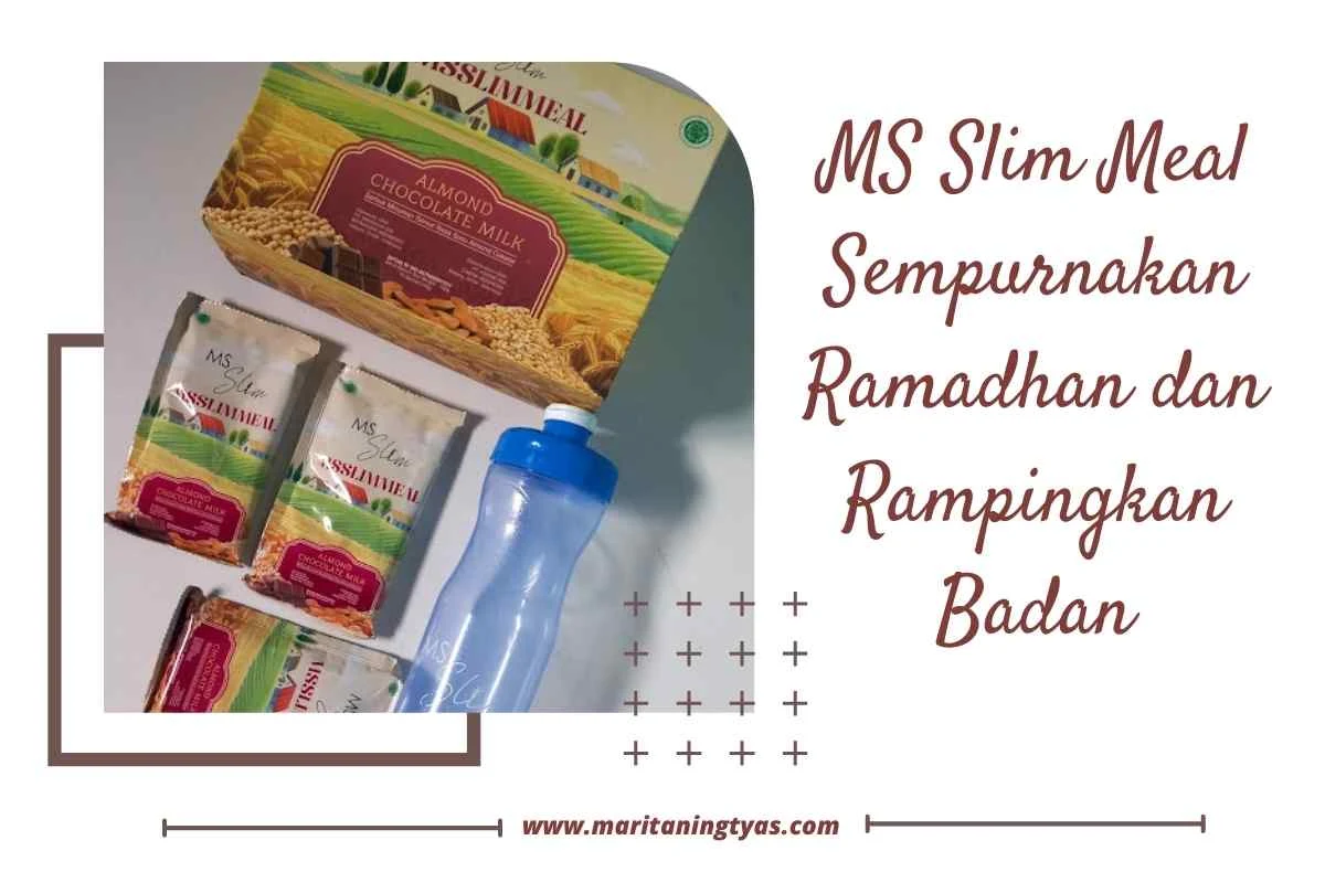 Review MS Slim Meal