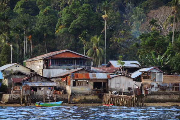 West Papua: Pendukung Penentuan Nasib Sendiri Mempresentasikan Petisi kepada Kantor Luar Negeri Inggris