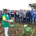 Dia de Campo sobre Cultivo da Palma promove troca de saberes e experiências para produtores do município de Capela