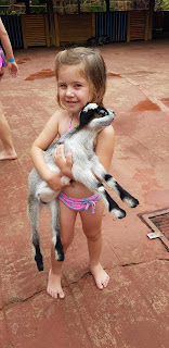 Um dia no Thermas dos Laranjais com crianças - das piscinas à fazendinha!