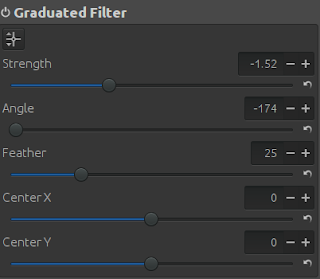 Negative Graduated Filter settings of RawTherapee to insert more light in the picture.