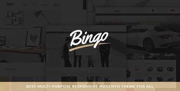 Premium Responsive Magento Theme