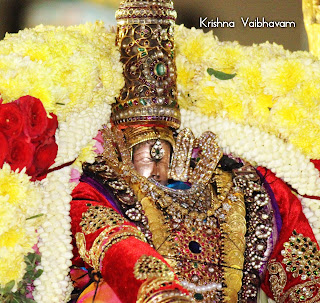 Theppotsavam,Day 05,Vaibhavam,Dharisanam,Sri Ranganatha Perumal, Sri PArthasarathy Perumal, Perumal, Venkata Krishna , Varushotsavam, 2018, Video, Divya Prabhandam,Triplicane,Thiruvallikeni,Utsavam,