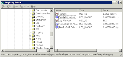 Backup Software on Next Start The  Backup Exec Remote Agent For Windows Systems  Service