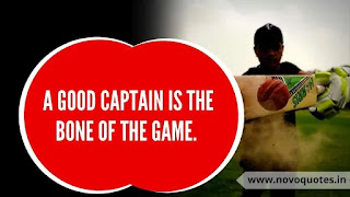 Quote About Cricket