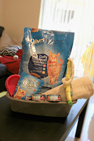 Thinking about donating to your local shelter? They always need food and treats! Here is a basket of 9Lives® goodies that we donated to our local shelter! #CelebratingMorris #ad 