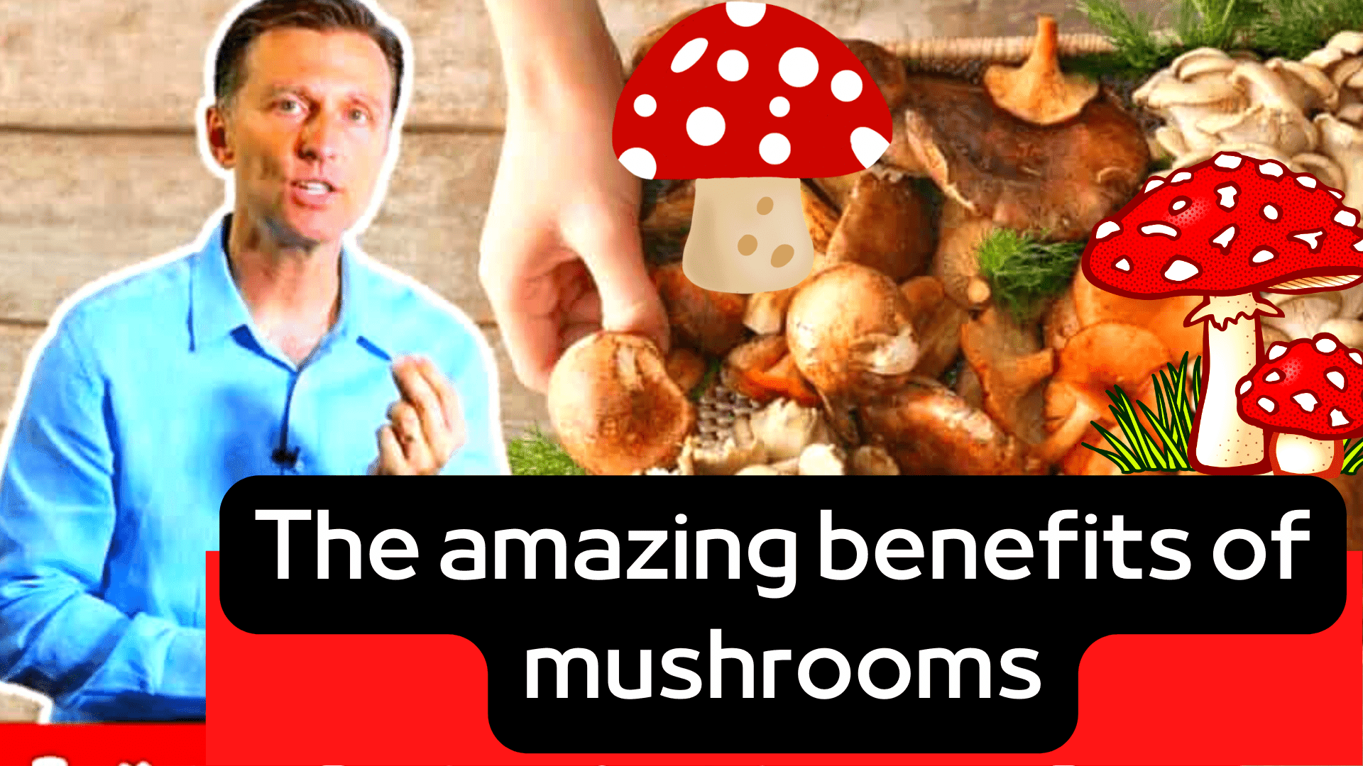 nds of mushrooms to know have amazing therapeutic benefits such as feathery mushrooms!     Mushrooms have long been known to be a fungus.   It may not come to mind that it works for some health problems. However, it has effective effects that may match the effect of certain medicines, which is why it is amazing in treating certain diseases and maintaining our health in general. Here are seven useful mushrooms and their effects on different pathological conditions.