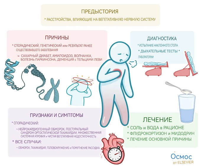 Дизавтономия. Что это такое, причины, признаки, симптомы, диагностика и многое другое