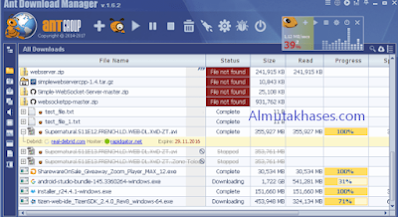 Ant Download Manager Pro