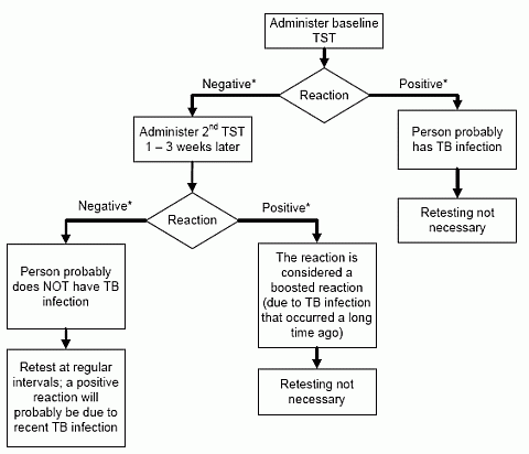How to Read TB Skin Test