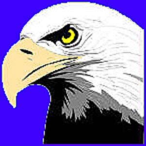 Patriotic Eagle Clip Art Free