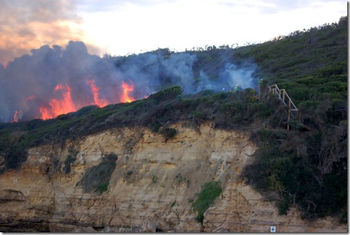 Controlled Burn Discovery Walk 16