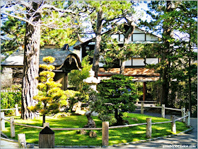 Japanese Tea Garden: San Francisco