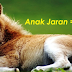 Nama Anak Hewan Dalam Bahasa Jawa