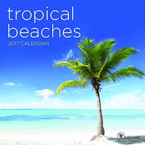 2017 Tropical Beaches Mini Calendar