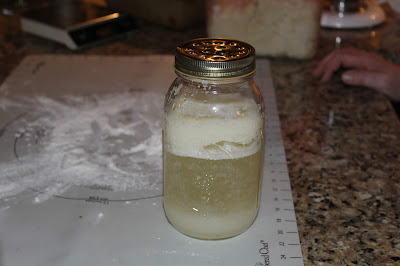 Sourdough Bread Starter