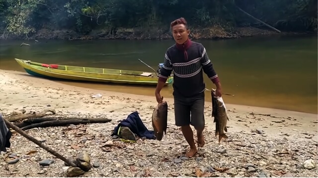 Bakar Ikan Tradisional Dayak