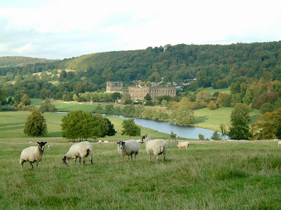 The Duchess of Devonshire once estimated that Chatsworth's 175 rooms occupy more space than 365 average-sized three-bedroom houses, observing in consequence that it was a bad place to housetrain a puppy. Her husband liked to list its 1.3 acres of roof, 3,426 feet of passages, 17 staircases, 56 lavatories and 359 doors, all lit by 2,084 light bulbs.