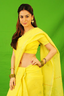 Actress Hot Saree Navel Show Photos