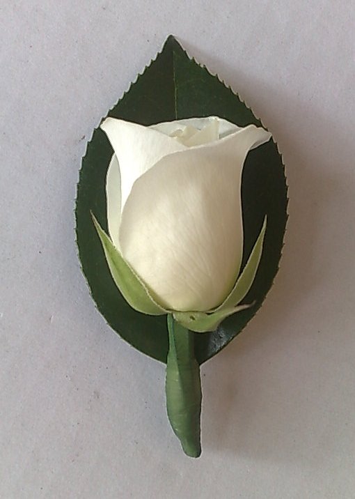 had a single white rose