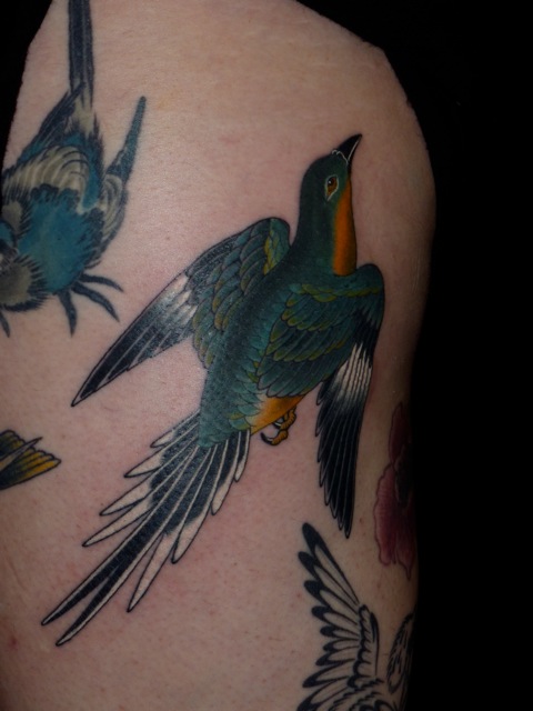Pigeon Tattoo Design Images (Pigeon Ink Design Ideas) | Pigeon tattoo,  Cartoon tattoos, Tattoos