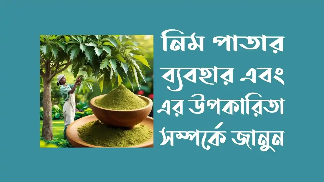 নিম পাতার ব্যবহার এবং উপকারিতা