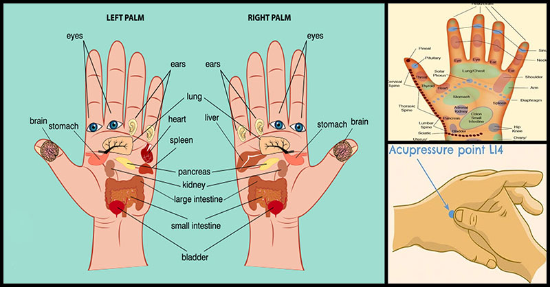 Palm Pressure Points Things You Can Do For Immediate Pain Relief