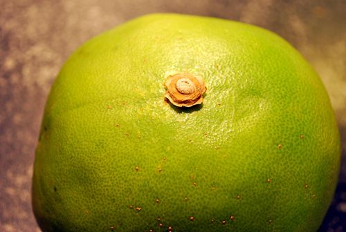 Pomelo, Basel, Switzerland